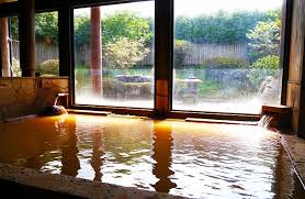 湯之元温泉の紹介写真