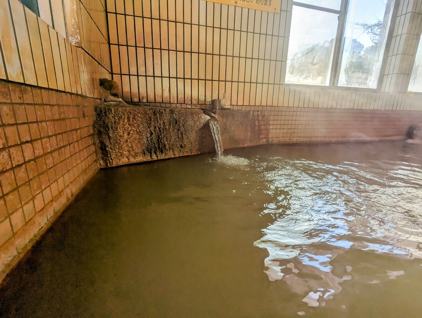 高原町の皇子原温泉の紹介写真